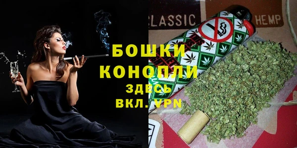 PSILOCYBIN Заволжье
