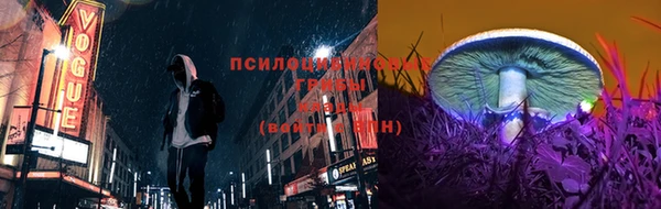 PSILOCYBIN Заволжье